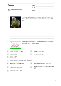 Quizizz 生態系