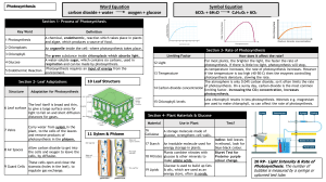 Photosynthesis-Knowledge-Organiser TES