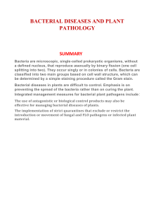 BACTERIAL DISEASES AND PLANT PATHOLOGY SUMMARY 