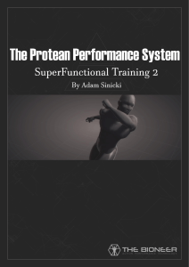 The Protean Performance System MAIN