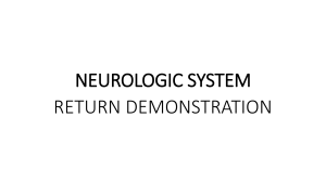 TUTS NEUROLOGIC SYSTEM