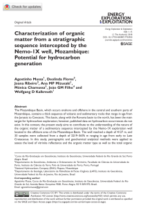 Characterization of organic matter from a stratigr