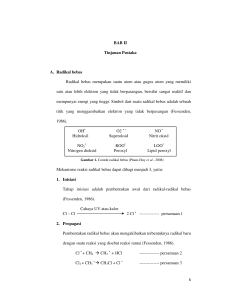 Materi Radikal Bebas Siska Putri (06101281924028)