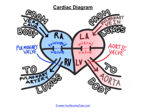 Cardiac Diagram 