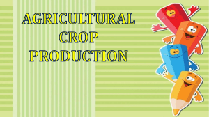 definitionoftermsagri-cropproduction-151007150138-lva1-app6891 (1)