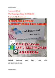 Holland Warehouse stock PMK Powder CAS 28578-16-7 13605-48-6