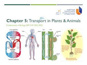 Chapter 5 - Transport in Plants and Animals
