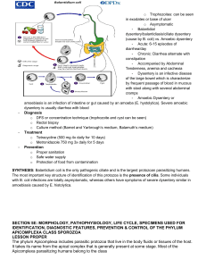 SECTION-5E-HIGHLIGHTS