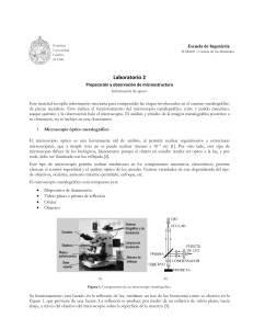 ICM2403 - Laboratorio 2 - Información de apoyo