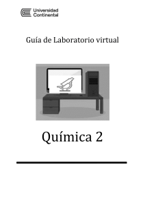 Guias laboratorio virtual OXIGENADOS II