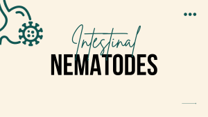 Intestinal-Nematodes