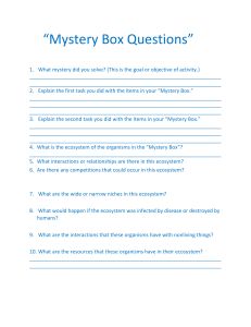 Mystery Box Questions