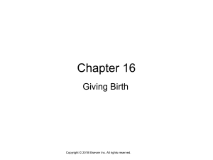 Chapter 016