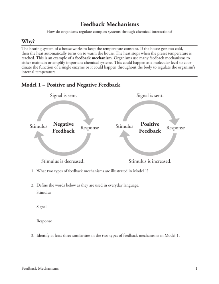 feedback-mechanisms