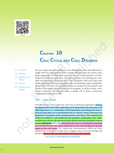 Cell Cycle and Cell Division: Mitosis & Meiosis