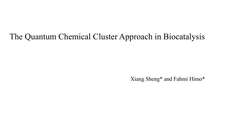 Quantum Chemical Cluster Approach In Biocatalysis