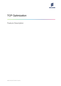 pdfcoffee.com l17q25tcpoptimizationfeature-description-pdf-free