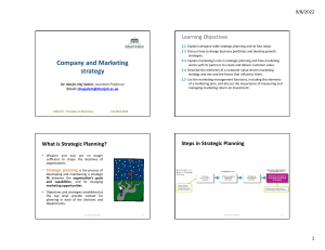 Course 2 Company and Marketing strategy