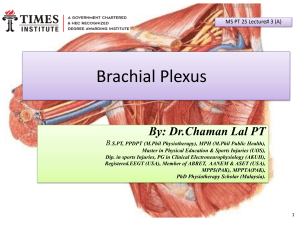 Lecture No.3 (A) Brachial Plexus By Dr Chaman Lal PT