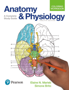 Pearson's Anatomy & Physiology Coloring Workbook (12E)
