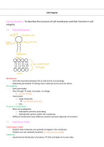 Cell Membrane Structure & Function