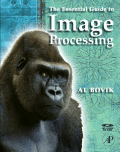 Alan C. Bovik The Essential Guide to Image Processing  2009
