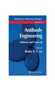 Antibody Engineering, Methods and Protocols