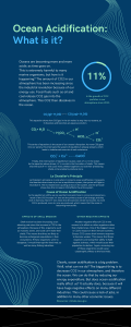 Ocean Acidification What is it copy