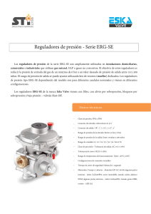 Informacion-Tecnica-Serie-ERG-SE Regulator Gas 