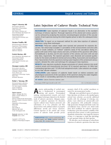 alvernia et al. 2010 Latex Injection of Cadaver Heads Brain Vasualture