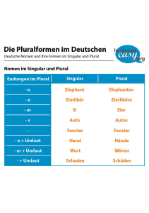 German-Pluralformen Bildung утворення множини.jpeg