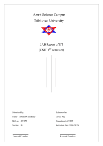 Copy of Prince IIT lab report 3 (1)