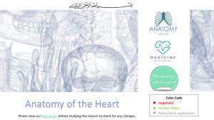1-Anatomy of the Heart