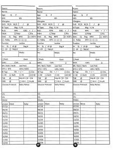 Postpartum Report Sheet