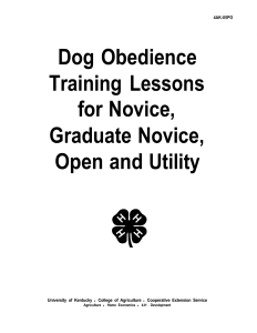 Dog Obedience Training Lessons for Novice,Graduate Novice,Open and Utility