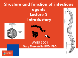 Week 1.2 Structutre and Function -2023