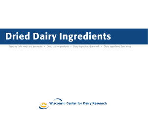 dried dairy ingredients