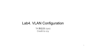 Lab 4. VLAN Configuration