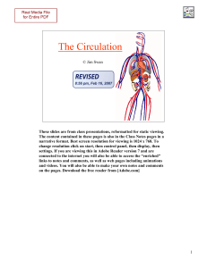 Anatomy2Circulation