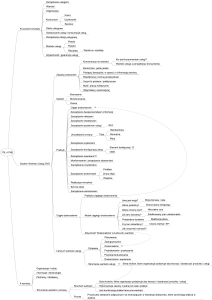 ITIL 4 Framework Mind Map: Key Concepts & Service Value System