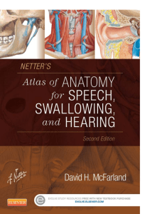 Netter's Atlas of Anatomy for Speech, Swallowing, and Hearing -MEDICAL AND SOFTWARE