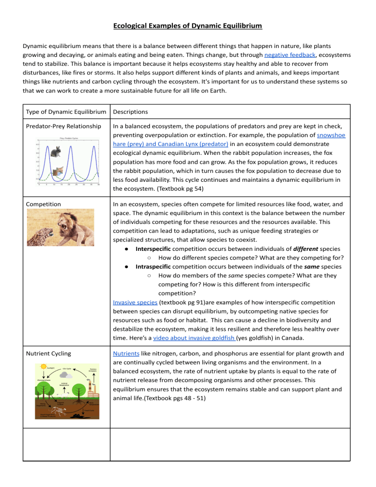 ecology-dynamic-equilibrium-examples