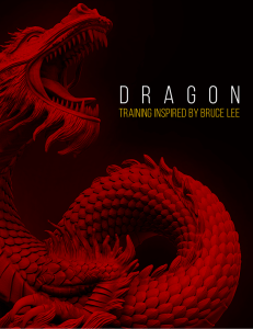 Dragon Workouts