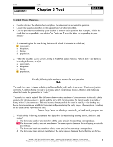 Chapter 3 Test