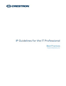 mg sr ip-guidelines-for-the-it-professional