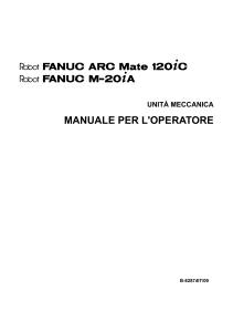 M-20iA - Manuale Per L'operatore [B-82874IT 09]