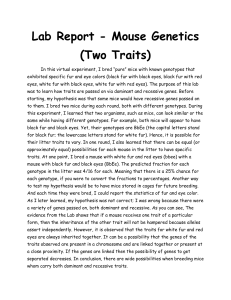 Terrell Wilson - Lab Report - Mouse Genetics (Two Traits)