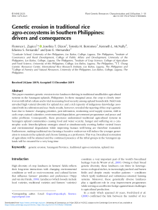 Genetic erosion in traditional rice agroecosystems in Southern Philippines