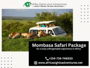 The Reasons Why You Prefer To Purchase The Mombasa Safari