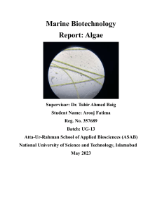 Algea Report